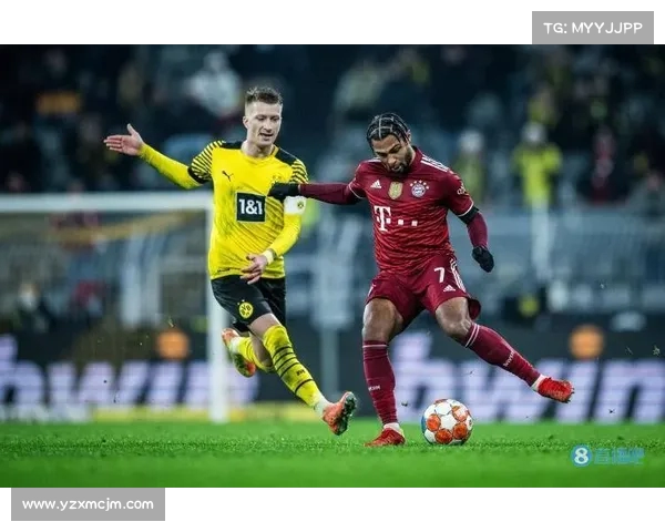 德甲社交媒体平台创新发展与球迷互动趋势分析