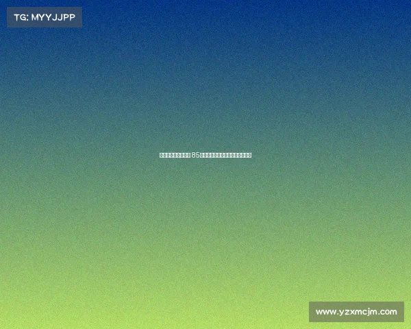 桑德兰推出暖心政策 85岁以上忠实球迷可获季票费用退还